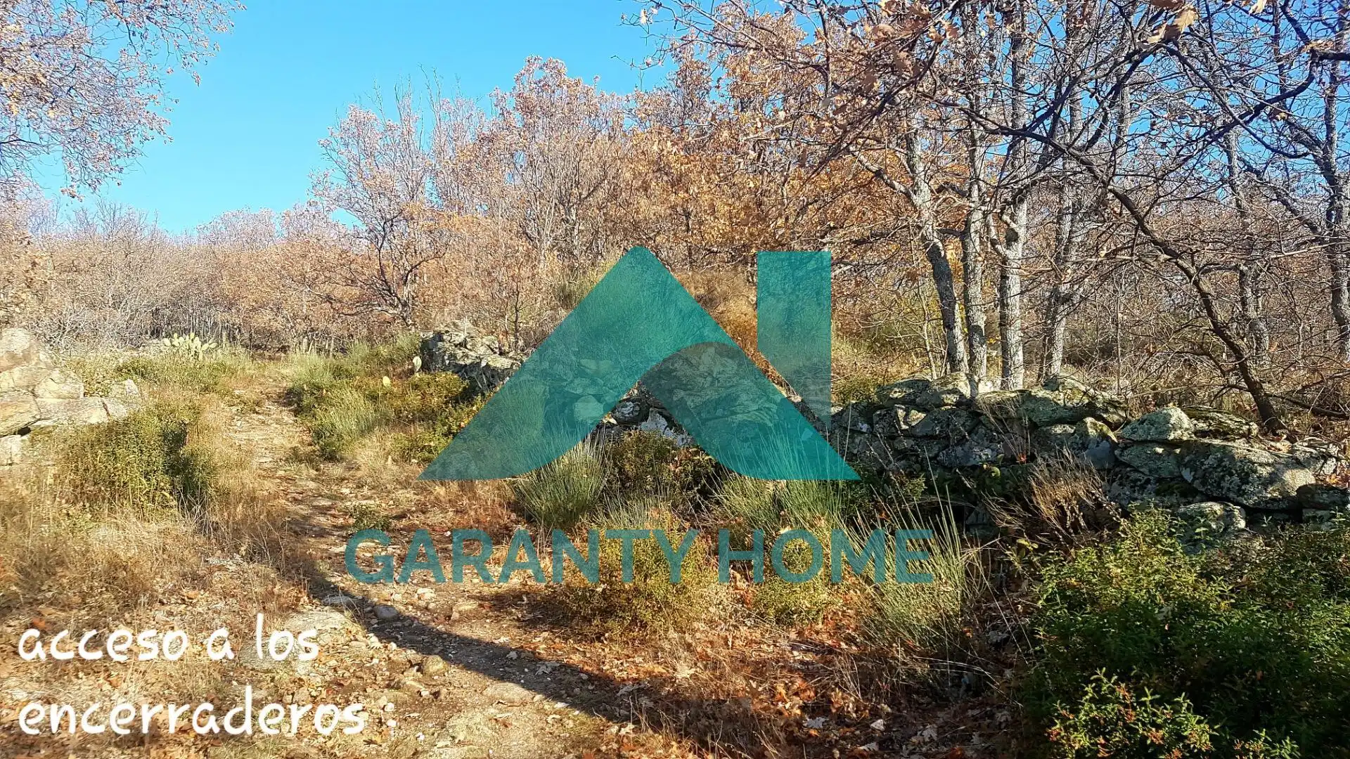 Finca rústica en venta en Aldeanueva de la Vera