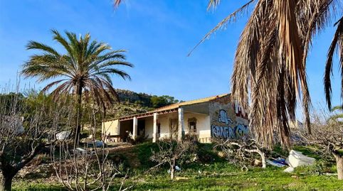 Foto 4 de Finca rústica en venda a Camino Viejo de Saladas, 10, El Bacarot, Alicante / Alacant