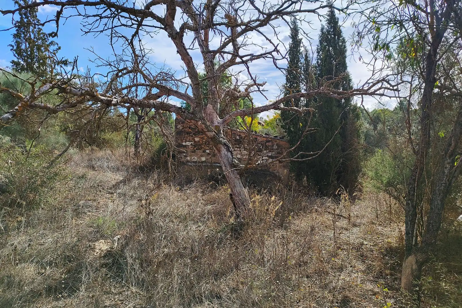 Terreni e lotti in vendita a Fajuelas, imagen 4