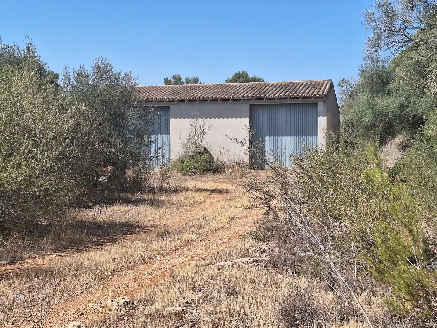 Terreno rustico in vendita a Algaida, imagen 2