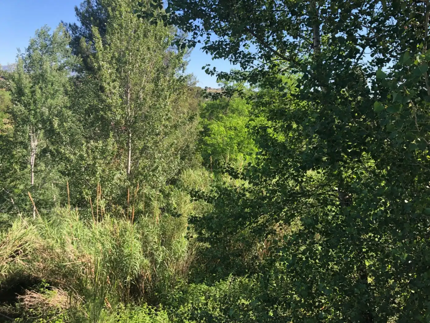 Wohnbaugrundstück zum Verkauf in Gelida, imagen 10