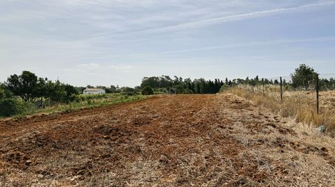 Photo 2 of Land for sale in Ds Pago Melilla 657 Suelo Polígono 16 Parcela 657, Las Lagunas - Campano, Chiclana de la Frontera