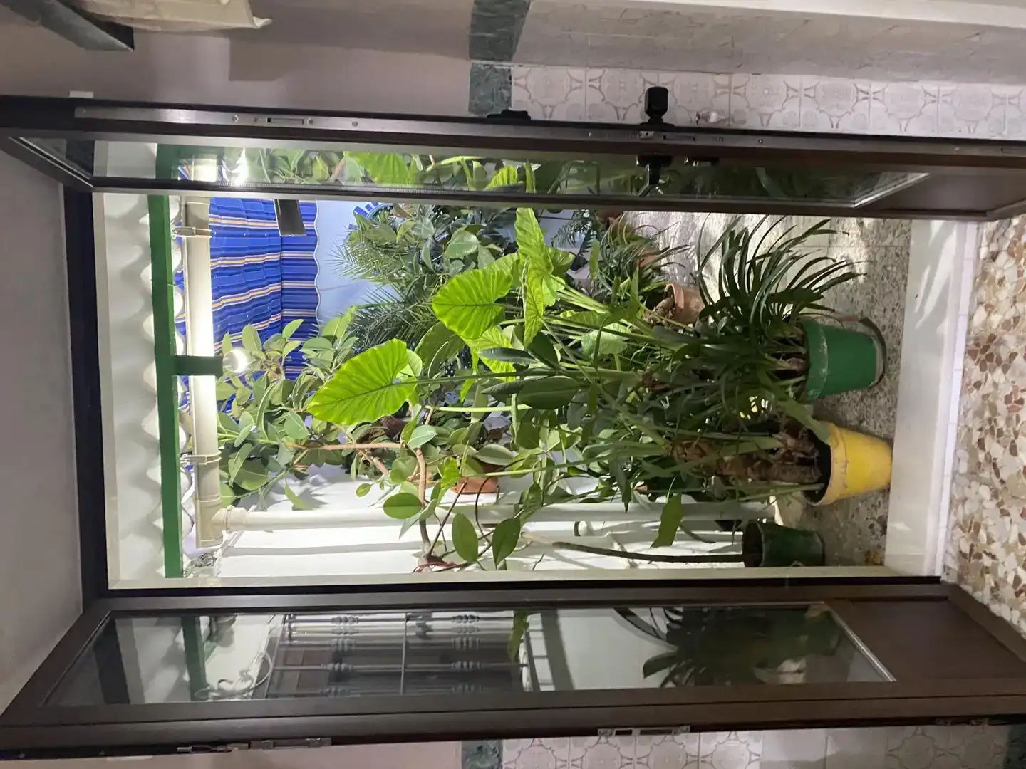 Terrassa de Planta baixa en venda en Puente Genil