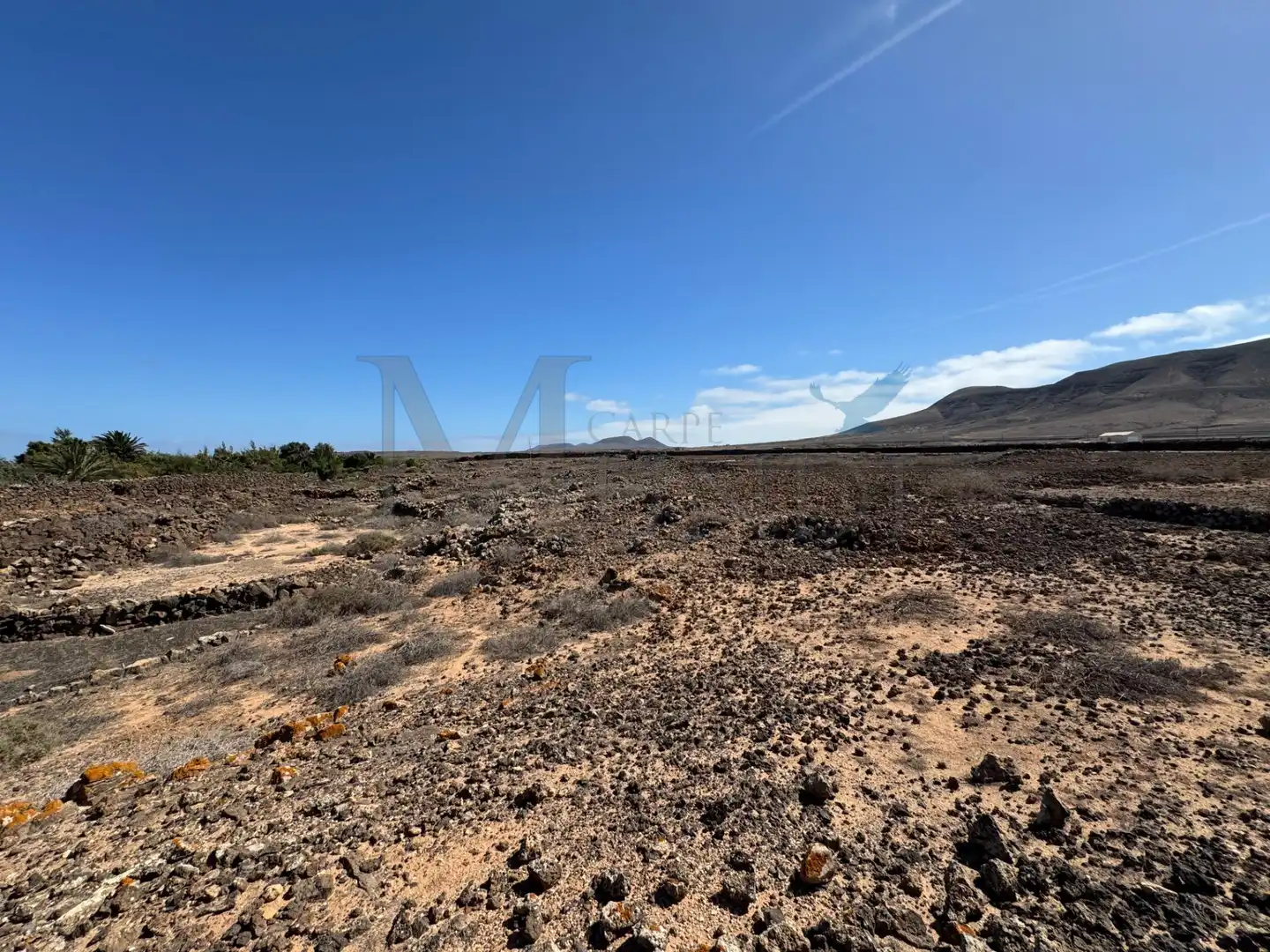 Land for sale in La Oliva
