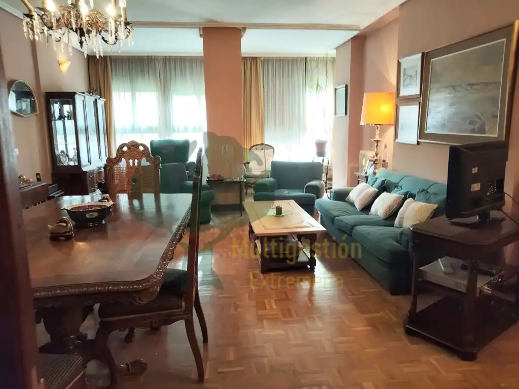 Sala d'estar de Pis en venda en Cáceres