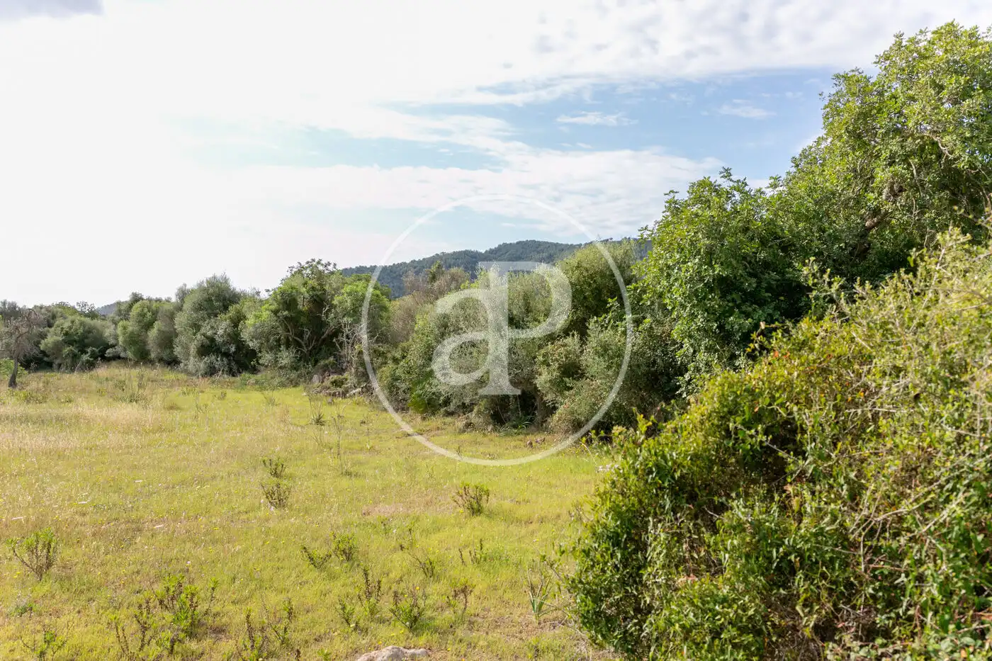 Terreny residencial en venda a Av. Montferrutx, imagen 28