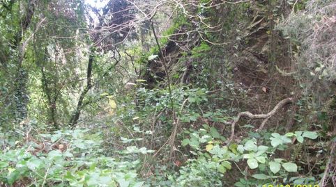 Foto 3 de Residencial en venta en Camí a Can Ralet, Mas Trempat - Sant Amanç - Casa Nova, Sant Feliu de Guíxols