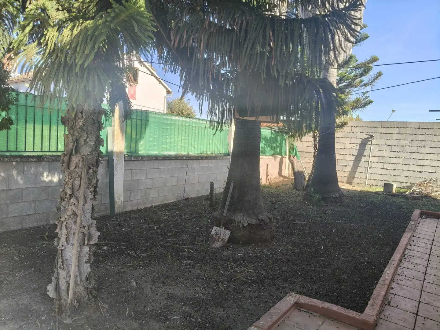 Detached house with pool for sale in Avenida del Convento 12, imagen 8