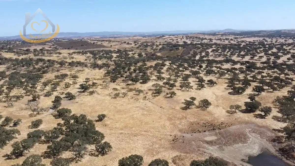 Terreni e lotti in vendita a Puebla de Guzmán, imagen 13