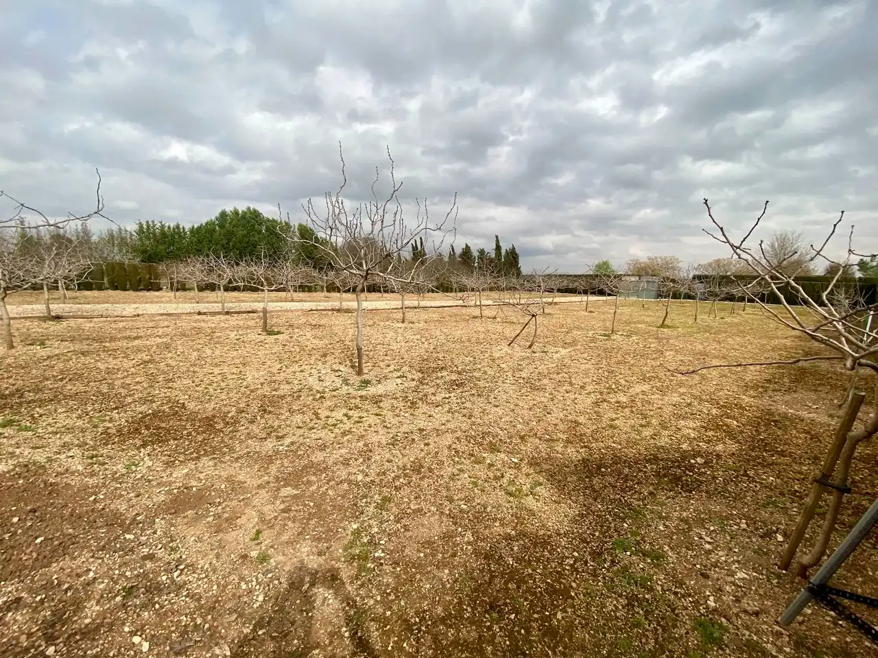 Casa o xalet en venda en Ciudad Real amb Calefacció, Jardí privat i Traster