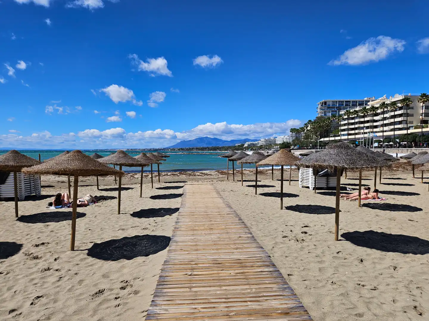 Local comercial en traspaso en Puerto deportivo, imagen 4