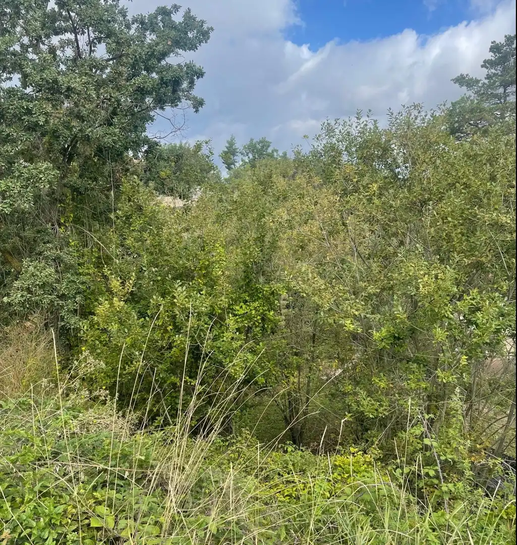 Residential land for sale in Muntanyola, imagen 8