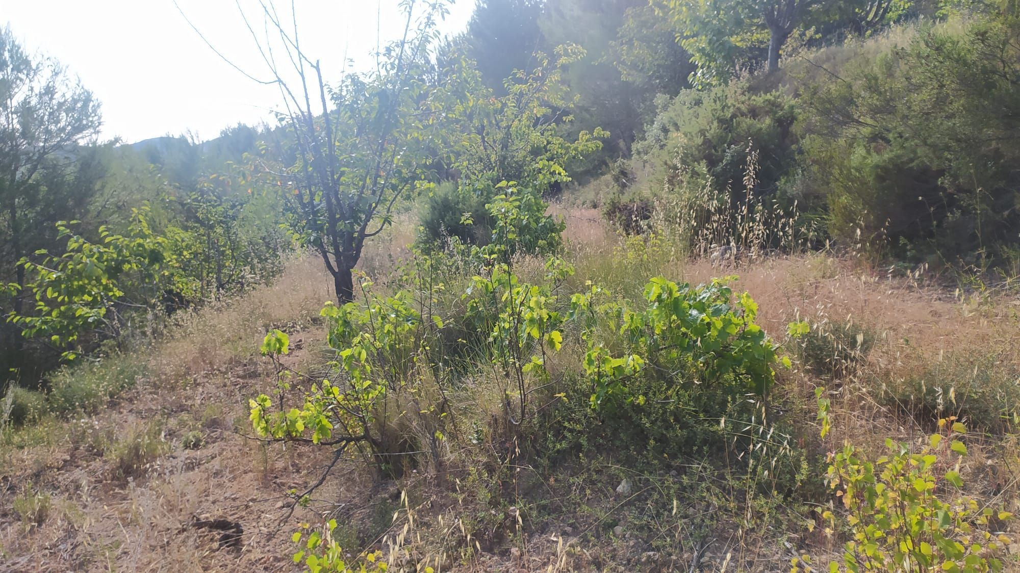 Residencial en venta en Gátova