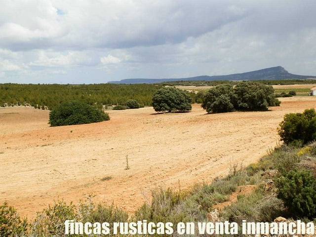 Terreno en Venta en Bonete