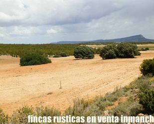 Terreny en venda en Bonete