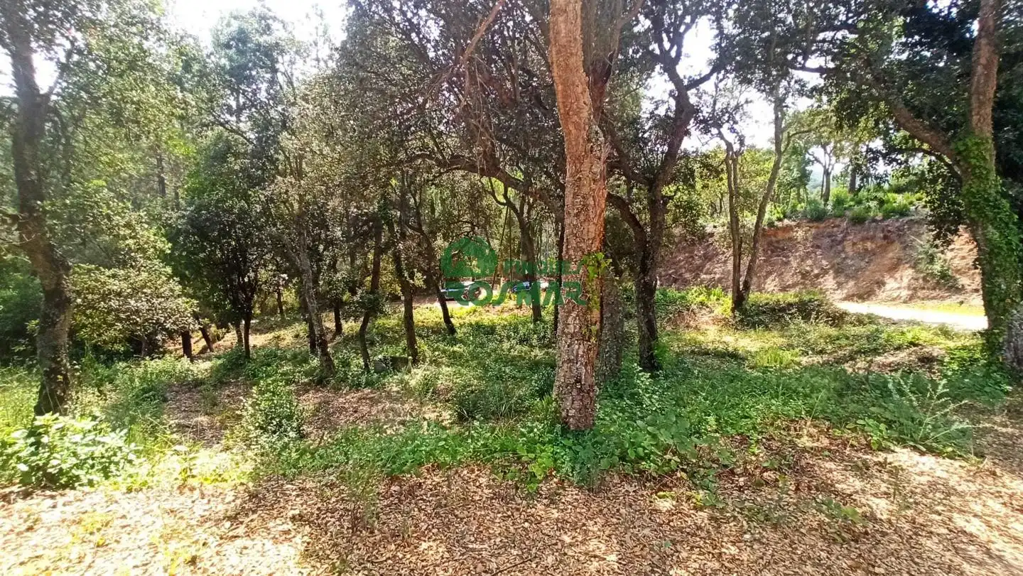 Terreny rústic en venda a Lloret Blau - La Creu de Lloret, imagen 2
