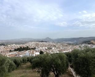 Exterior view of Country house for sale in Antequera  with Heating and Storage room