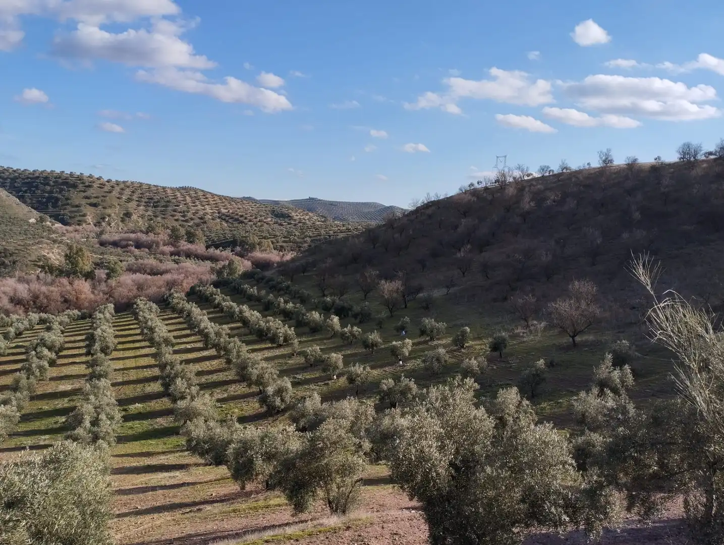 Rural land for sale in Calle Río Anzur, imagen 3