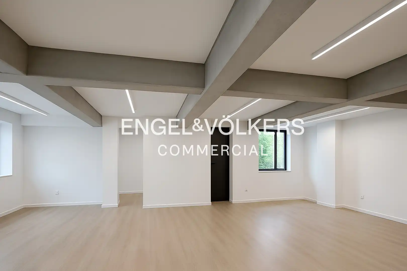 Gewerbefläche zur Miete in El Centre, imagen 8