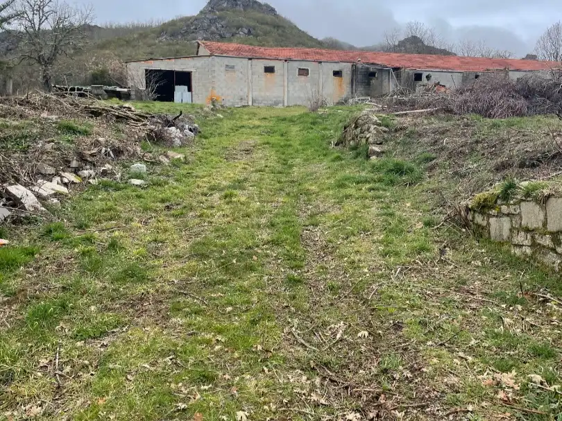 Land for sale in Baltar