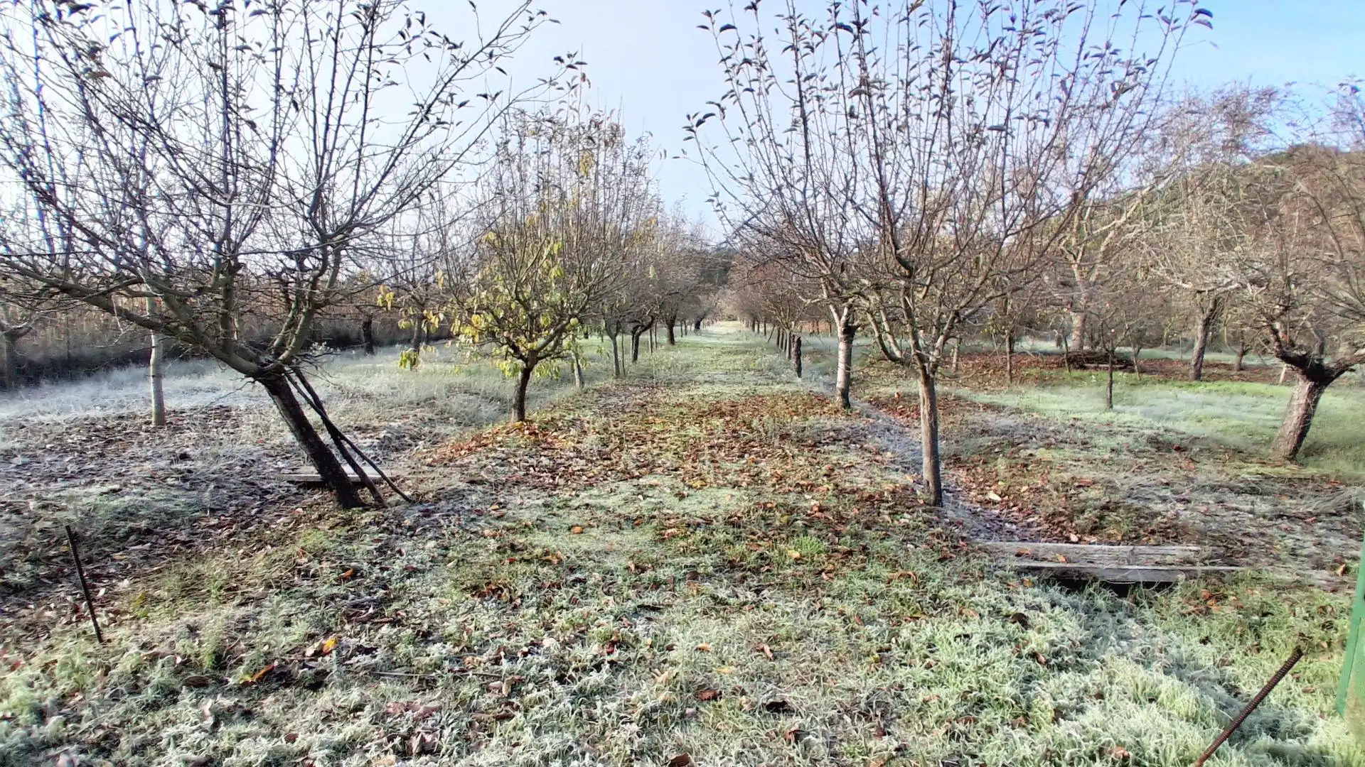Finca rústica en venta en Almenara de Tormes