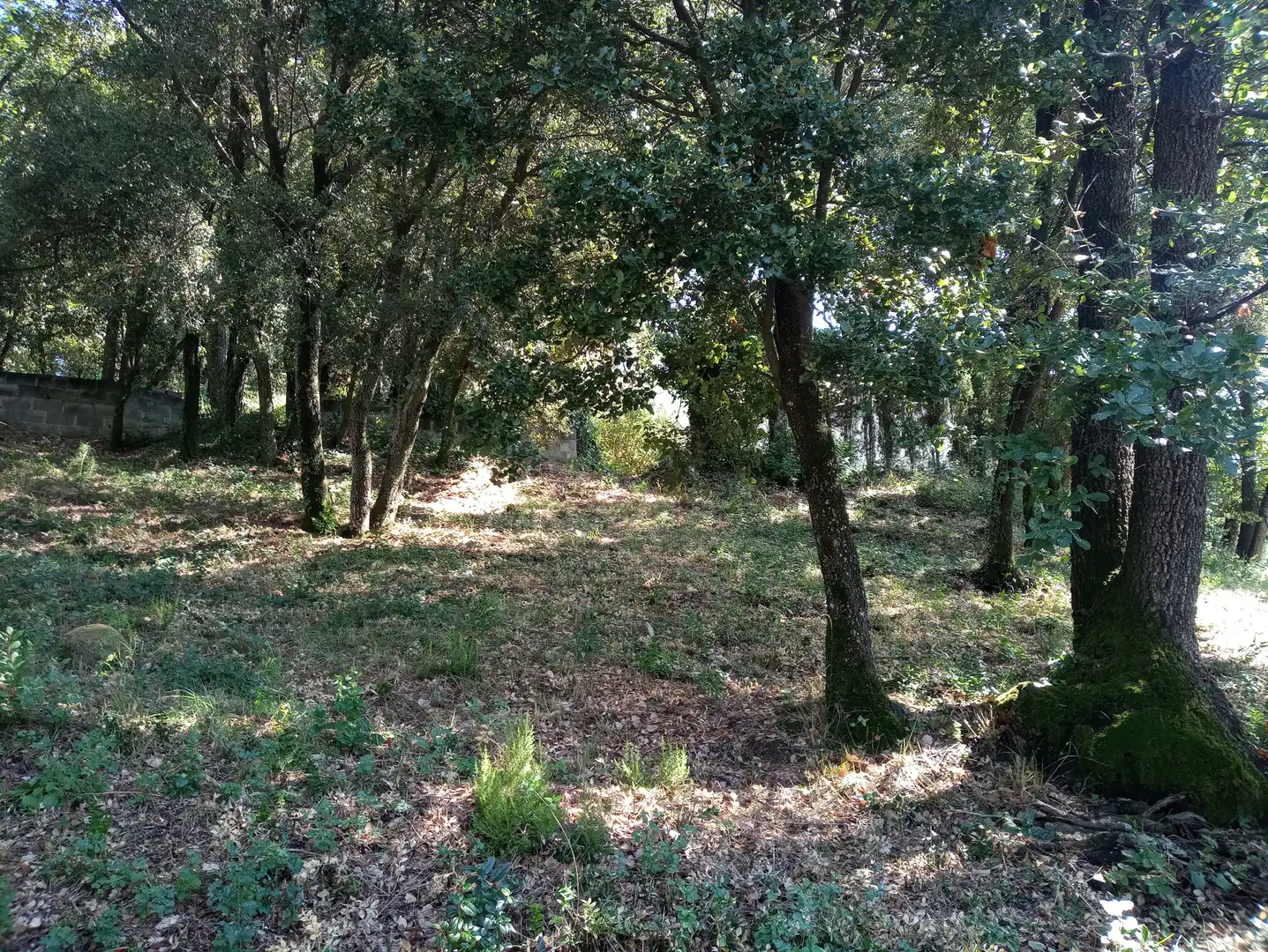 Terreno residencial en venta en Carrer de la Morera, imagen 19
