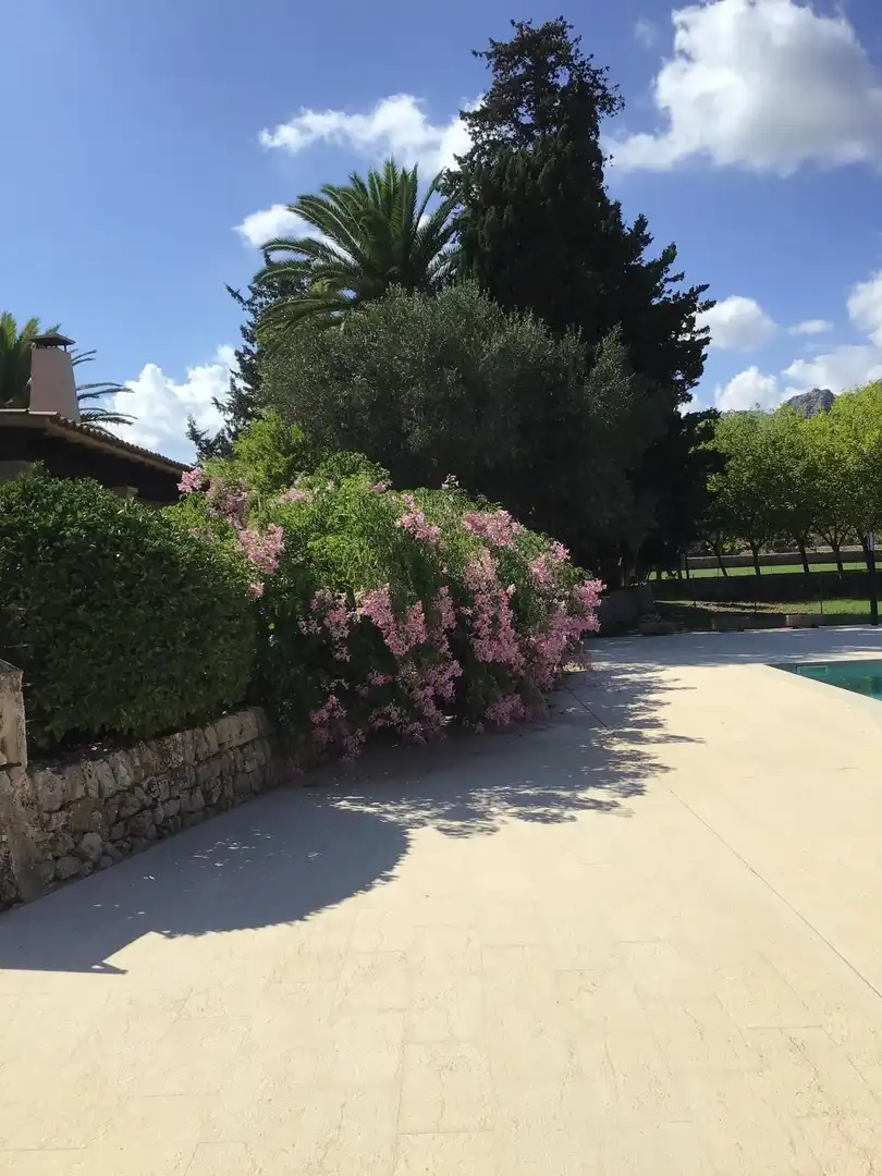 Jardín de Finca rústica en venta en Pollença con Aire acondicionado, Calefacción y Jardín privado