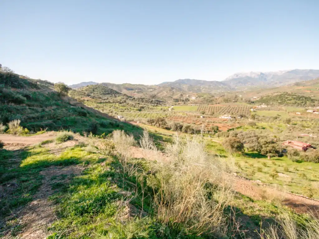 Casa rústica en venta en Partida Llano Comisario, imagen 5