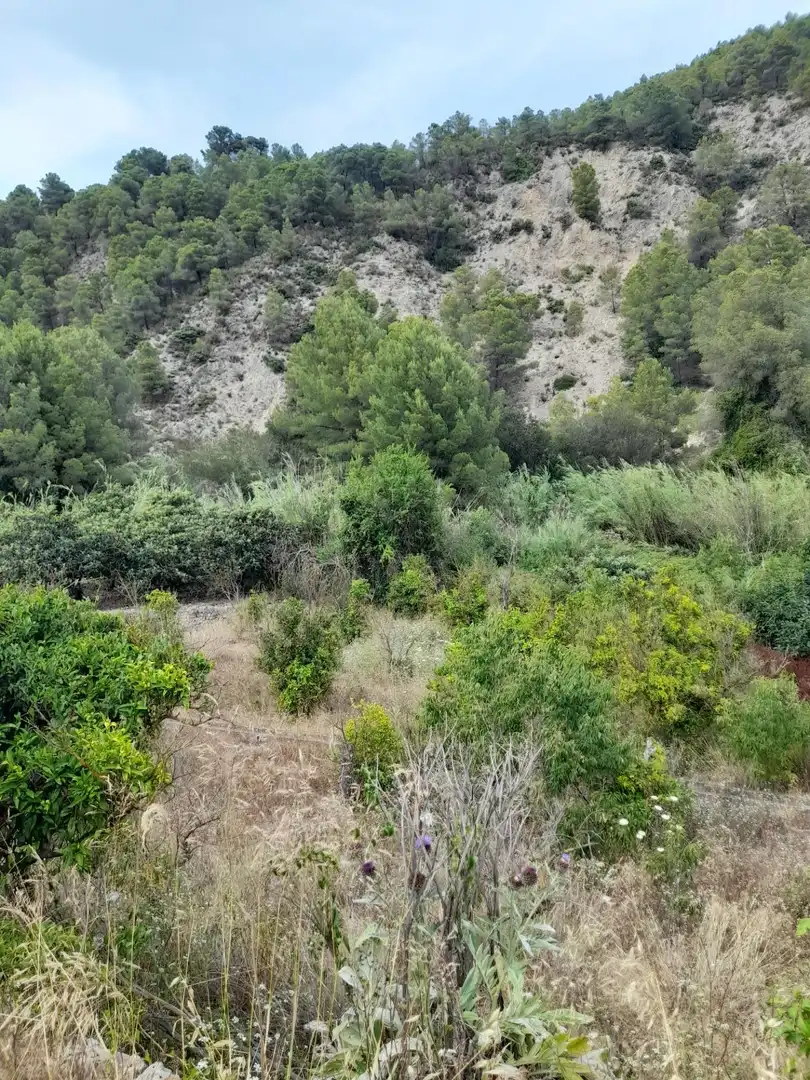 Rustikales Grundstück zum Verkauf in El Castell de Guadalest, imagen 13