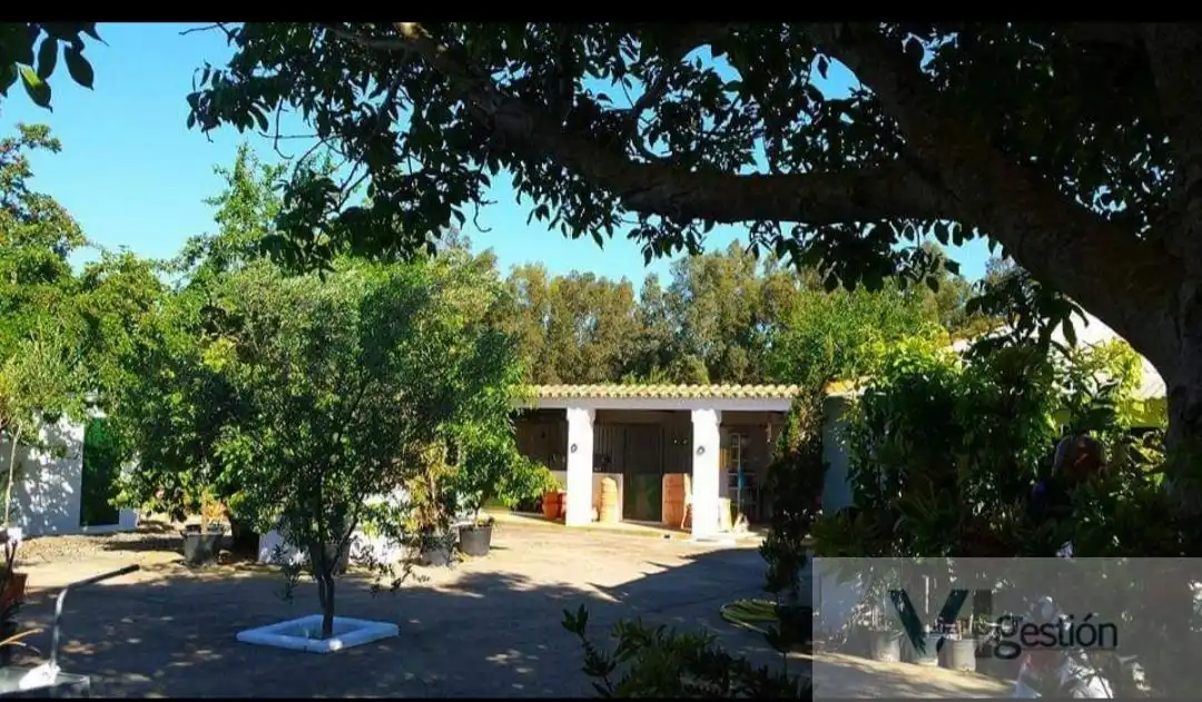 Finca rústica en venta en Bornos