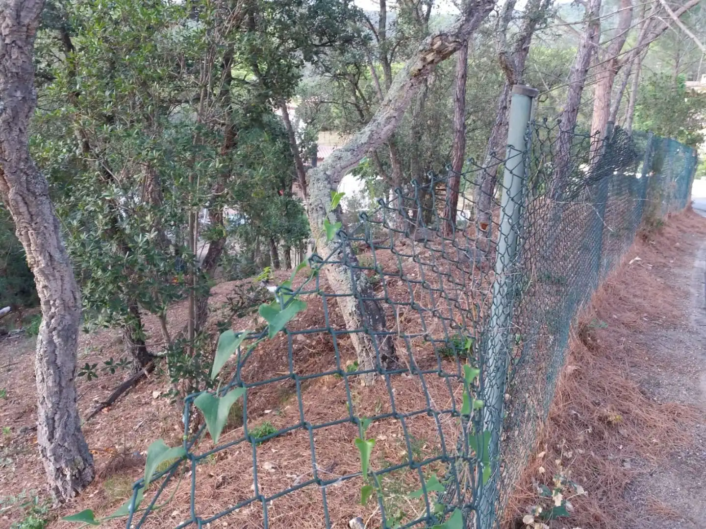 Terreno residencial en venta en Avinguda del Bell-lloc, imagen 19