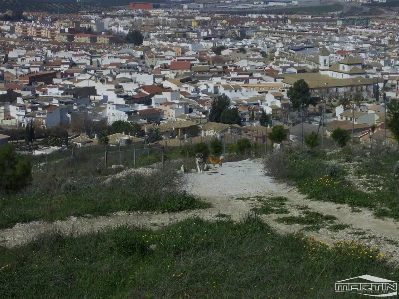 Terrenos y solares en venta en Cerro San Cristóbal, imagen 16