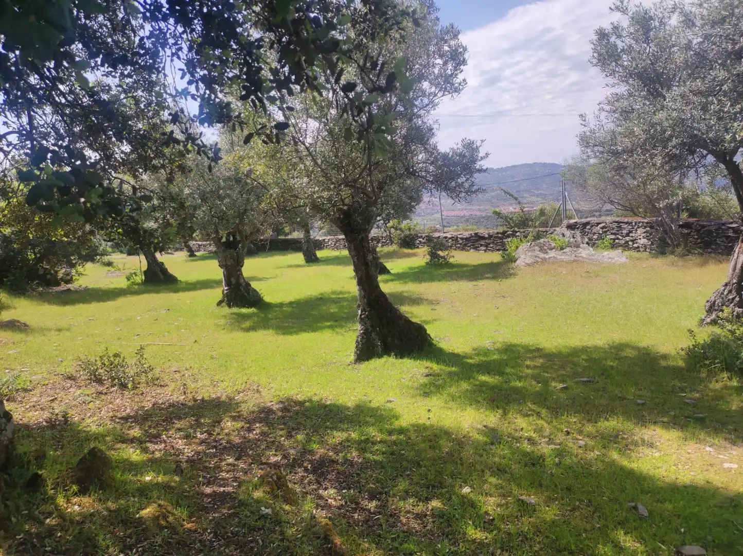 Terreni e lotti in vendita a Miralvalle - Av. Virgen del Puerto - La Data, imagen 6