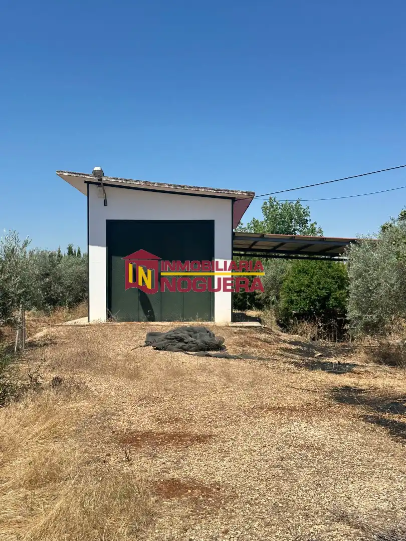 Vista exterior de Terreno en venta en Écija