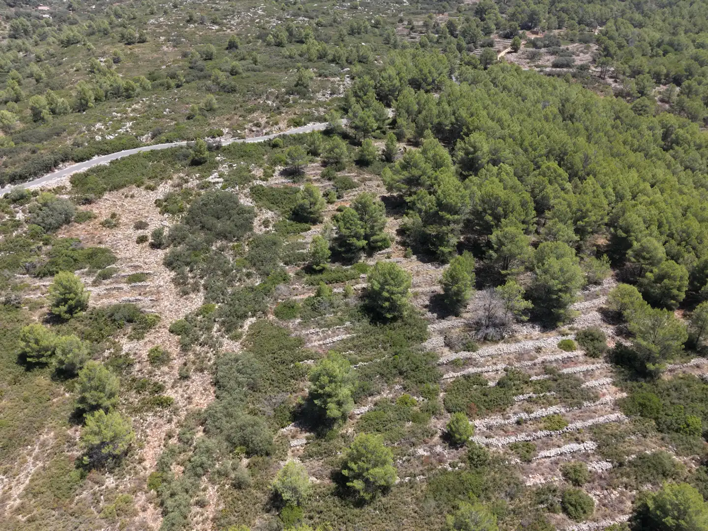 Rural land for sale in Camino Murtas-bernia 5