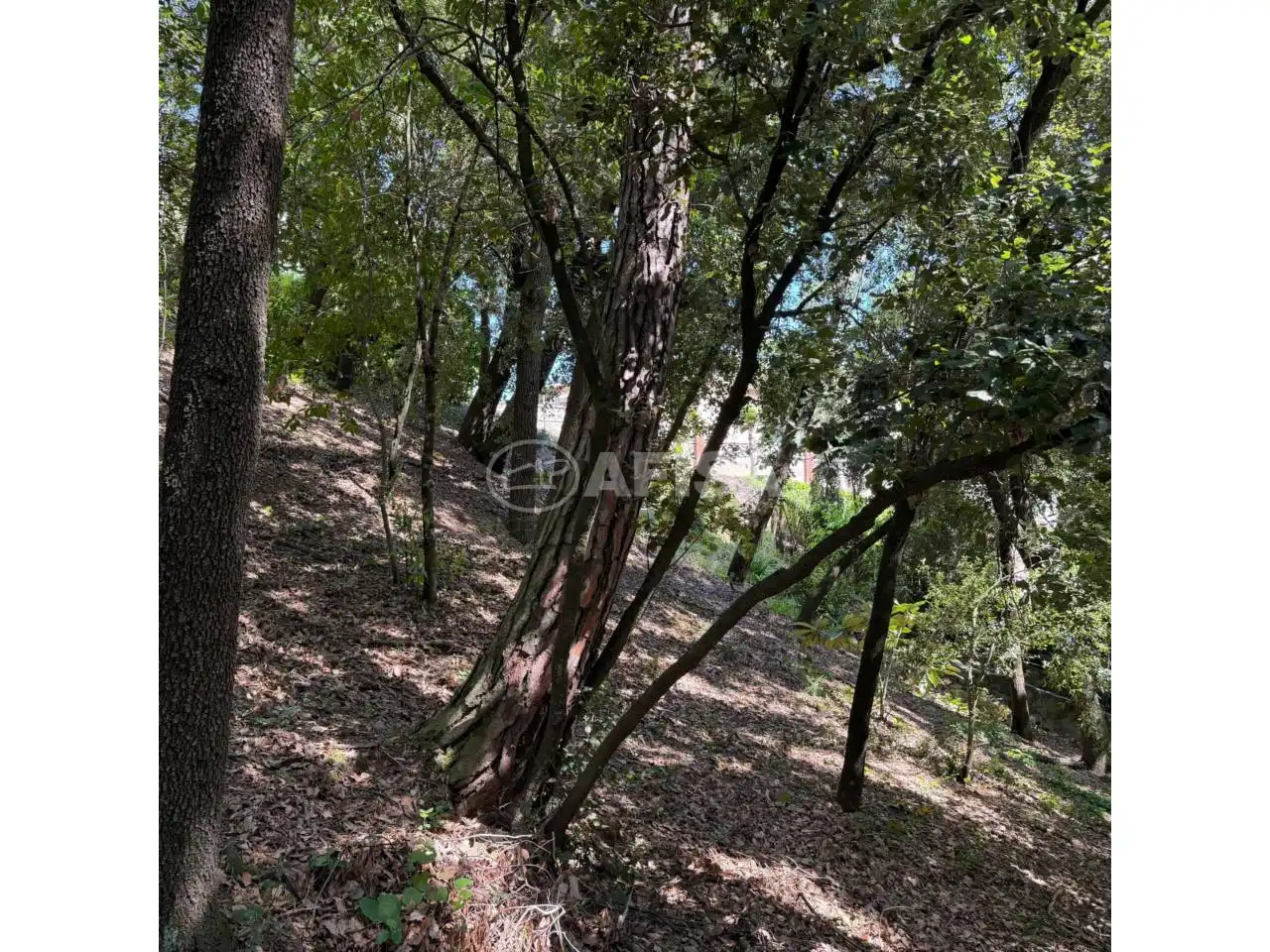 Residencial en venta en Sant Pere de Vilamajor