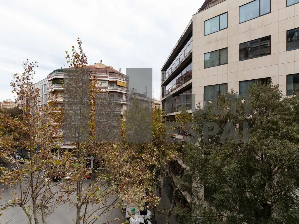 Office space with lift to rent in Carrer de Sepúlveda, imagen 18