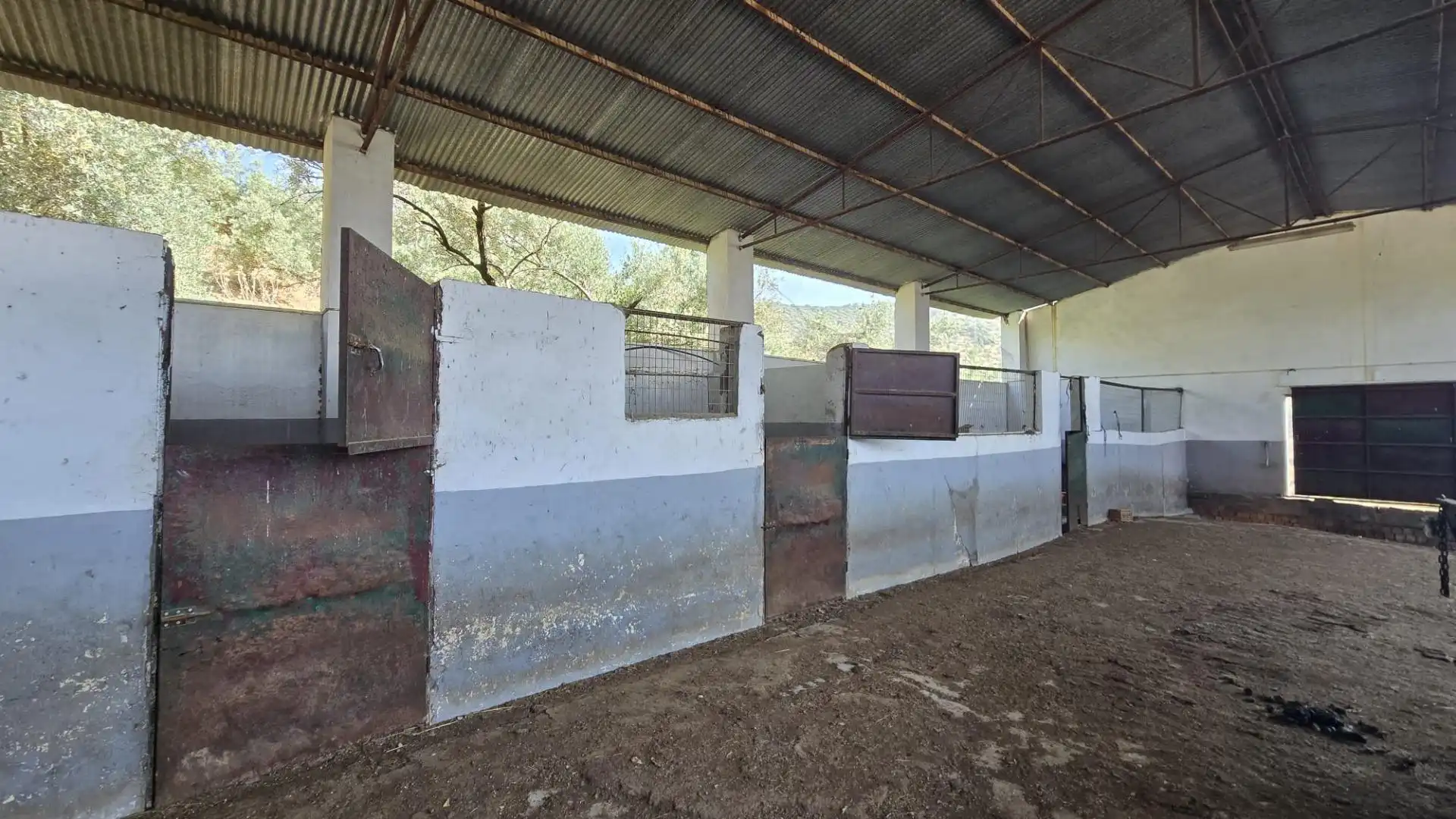 Vista exterior de Finca rústica en venta en Pozoblanco