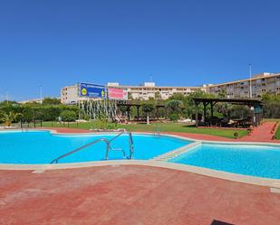 Piscina de Casa o xalet en venda en Torrevieja amb Calefacció, Terrassa i Balcó