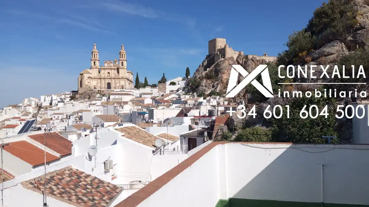 Vista exterior de Casa o chalet en venta en Olvera con Terraza y Balcón