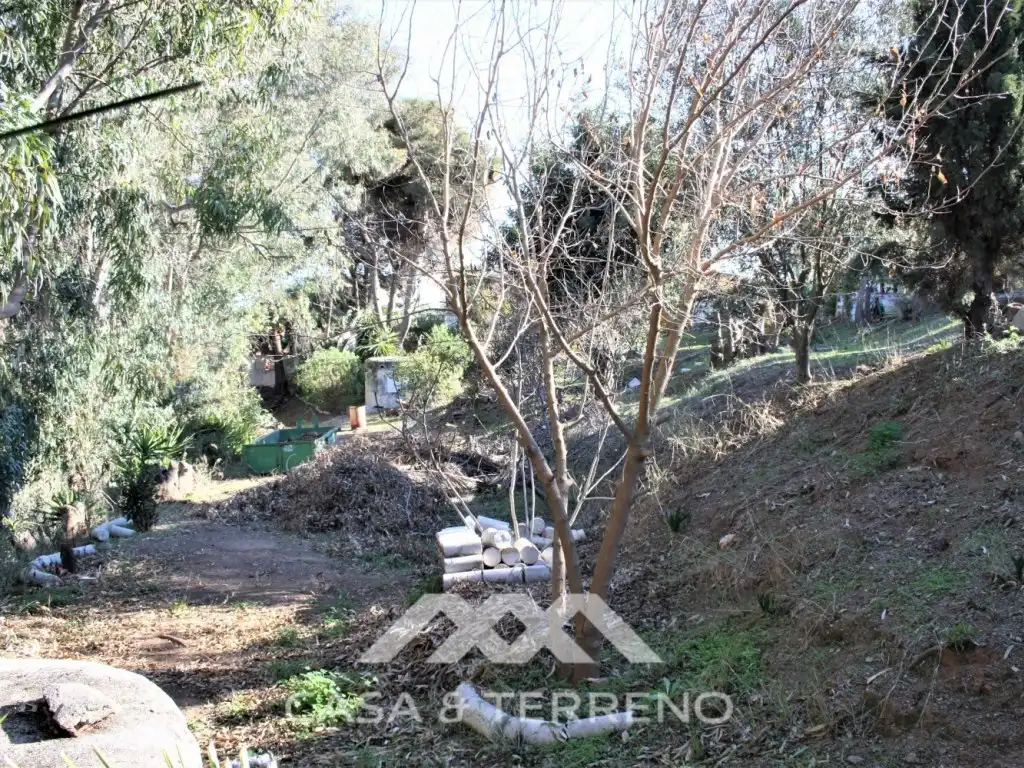 Commercial properties for sale in Benajarafe