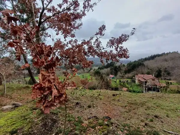 Terreno residenziale in vendita a Rua Pintelos, imagen 22