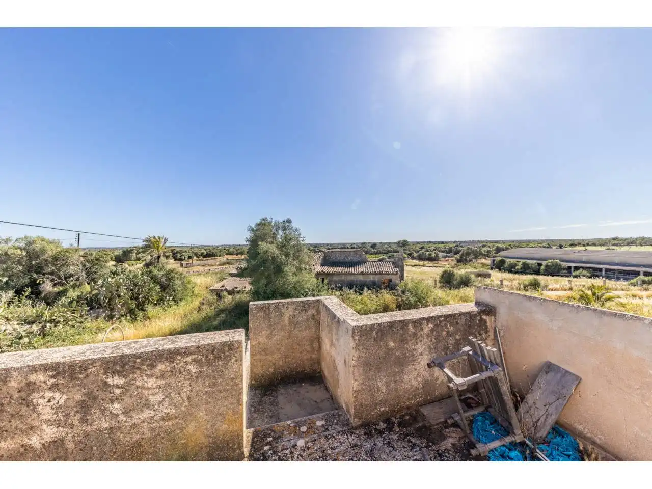 Terreno rustico in vendita a Llucmajor pueblo, imagen 18