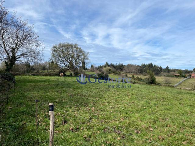 Terreno residencial en Venta en Colunga - LUGAR CASTIELLO en Selorio - Tornón