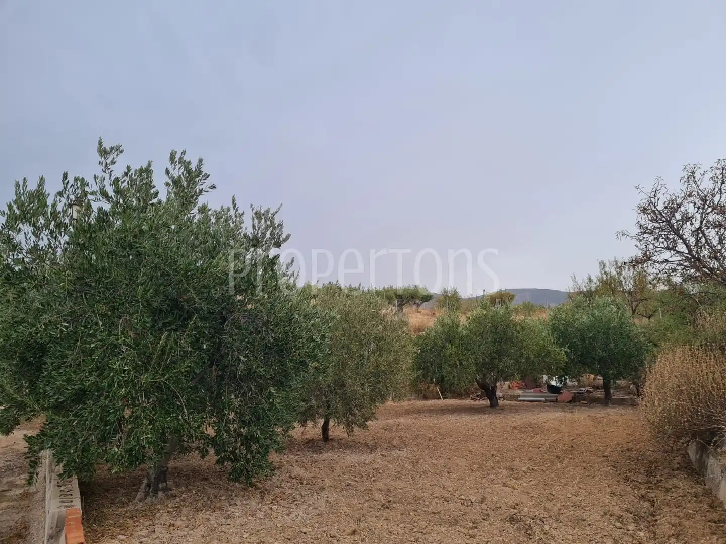 Houses for sale in Petrer