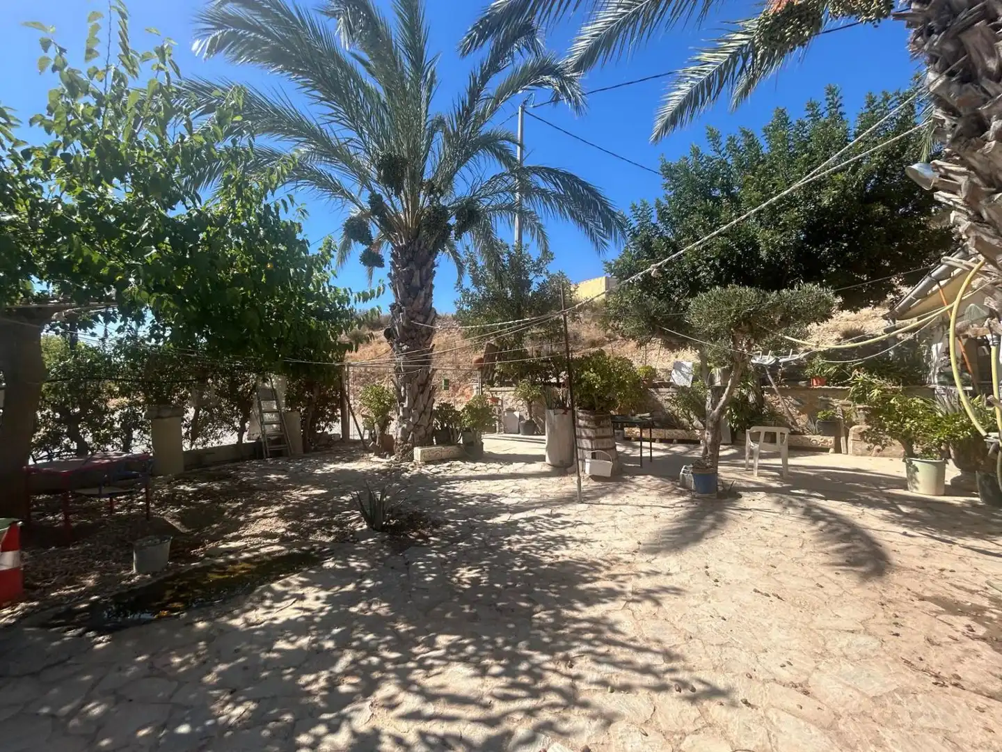 Vista exterior de Finca rústica en venda en Crevillent amb Calefacció, Terrassa i Traster