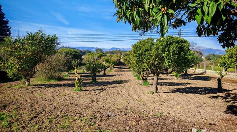 Foto 4 de Finca rústica en venta en Costitx, Illes Balears