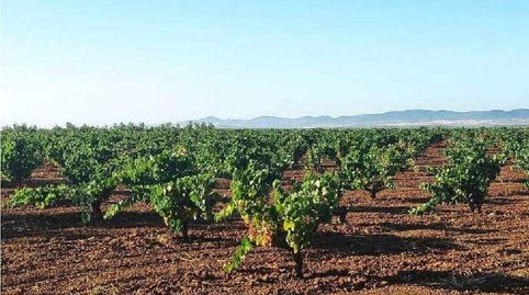 Foto 3 de Finca rústica en venta en Valdelasierpe, Santa Marta, Badajoz