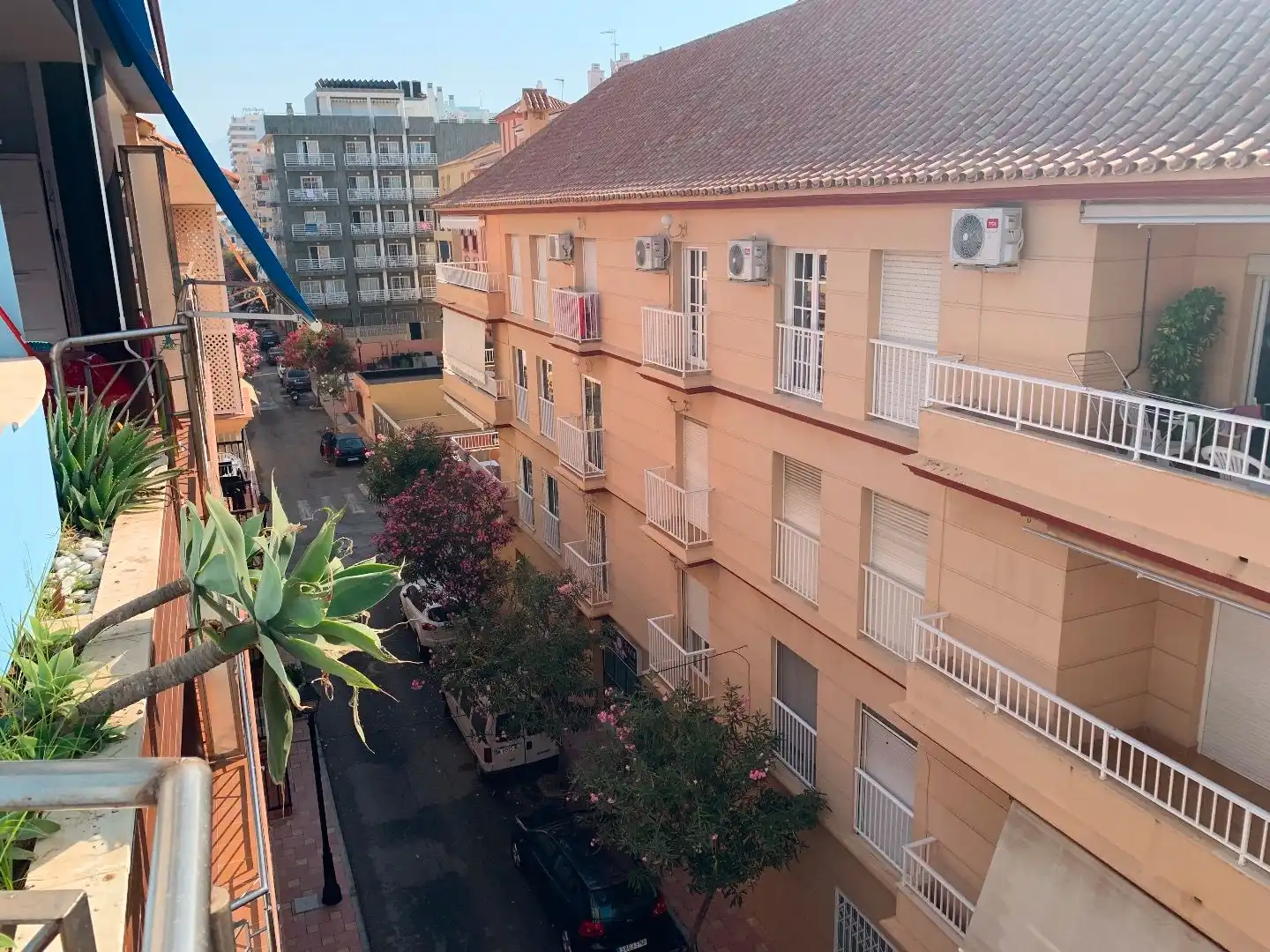 Pis de lloguer a Calle Hernán Cortés, Puerto Deportivo