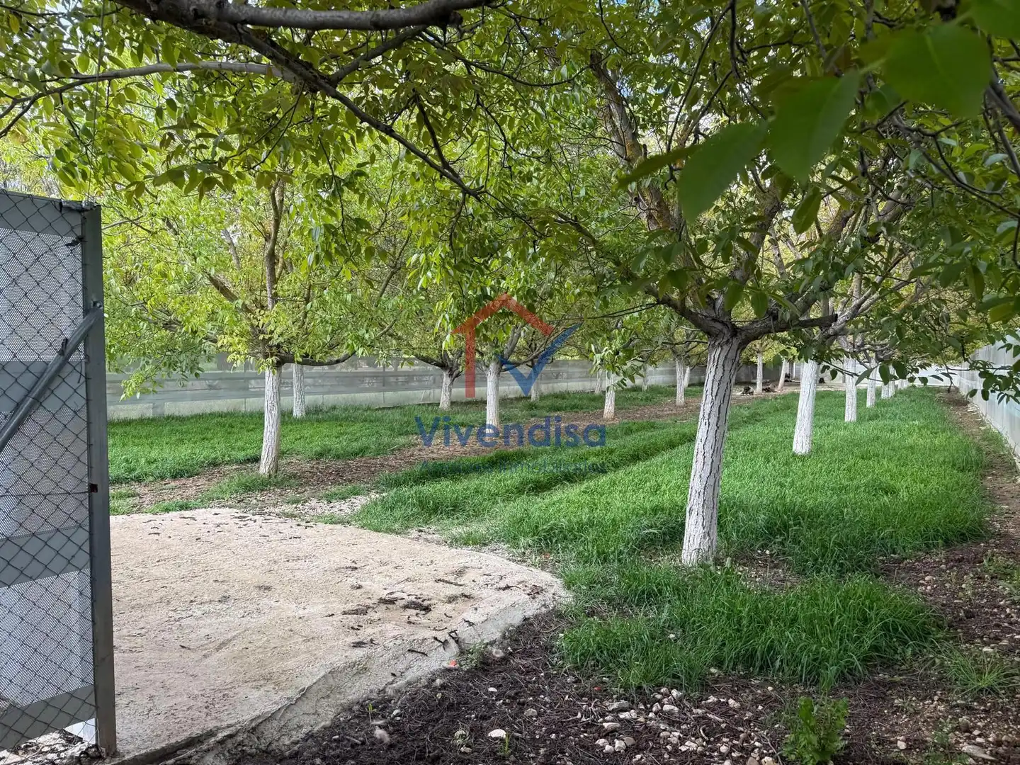 Terreny rústic en venda a Pesquera (Polígono 512), imagen 69
